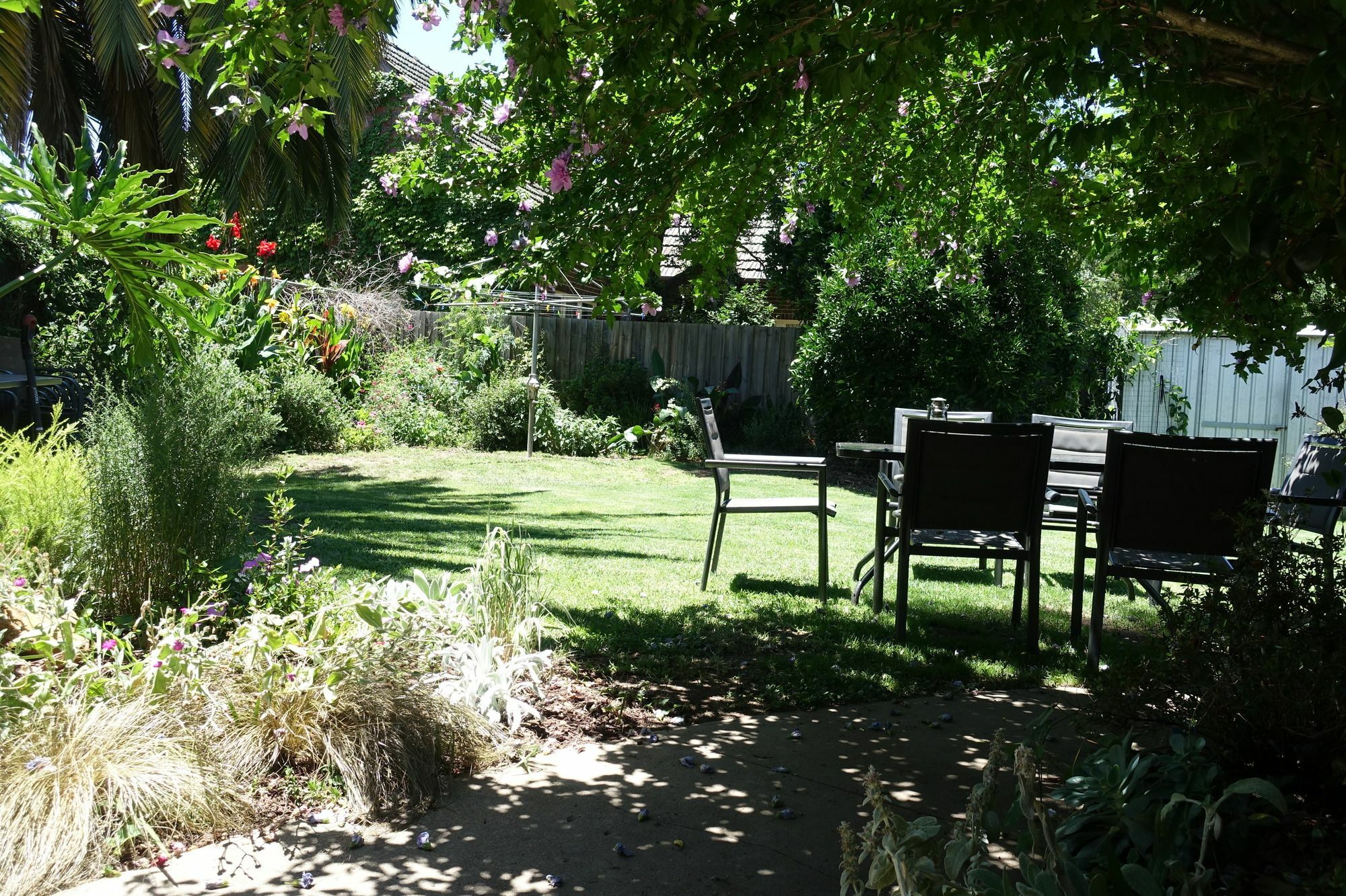 Benson House & Benson Lodge Benalla Esterno foto